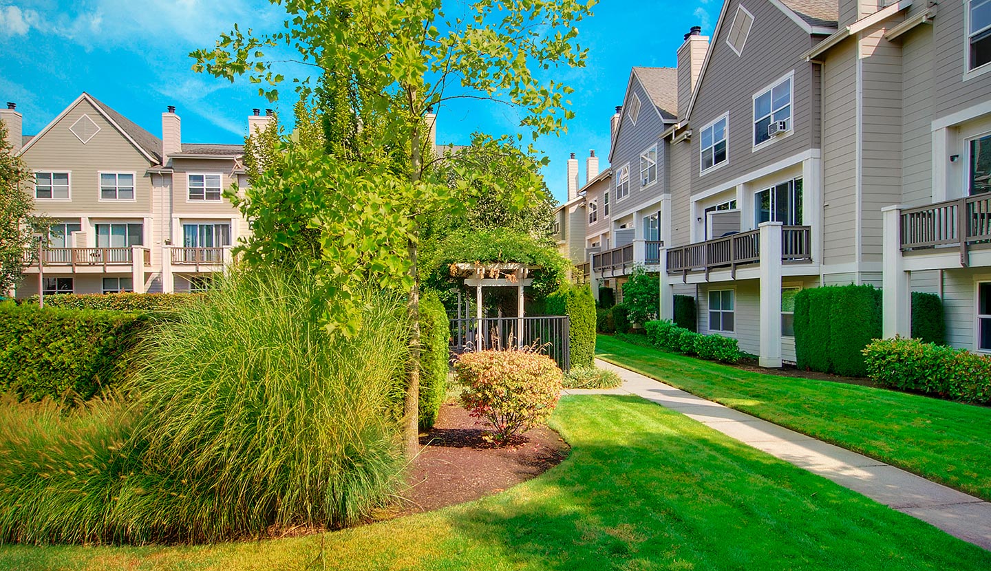 Landscaping and a pathway