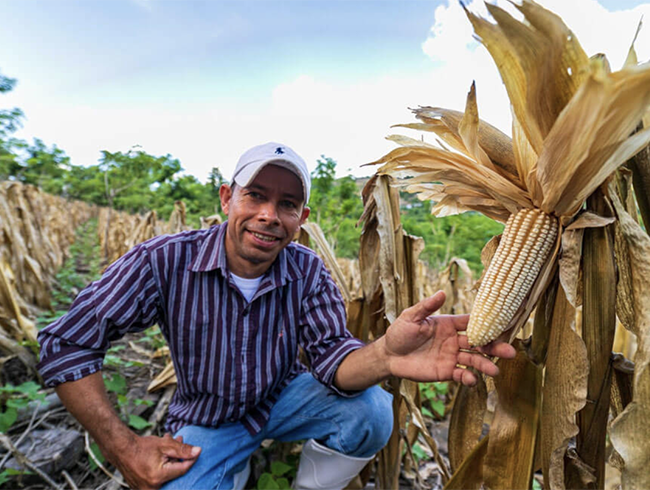 man with ear of corn
